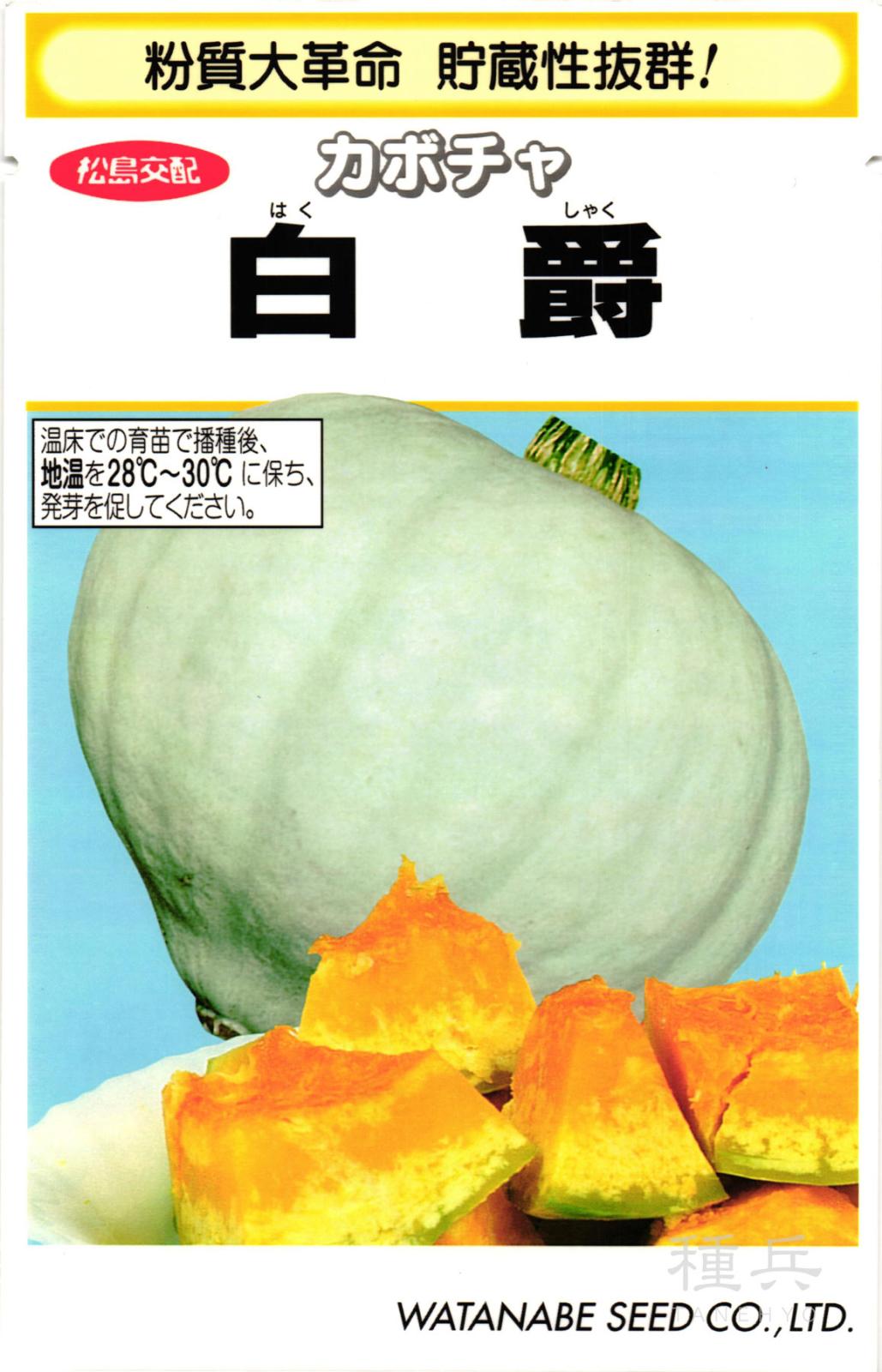 白皮カボチャ 種 『白爵』  渡辺採種場
