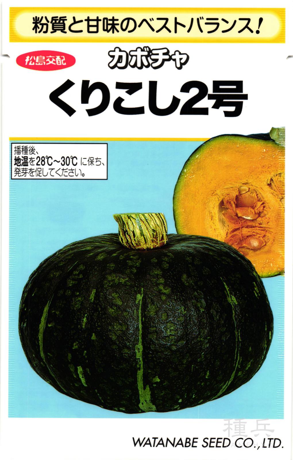 栗カボチャ 種 『くりこし２号』  渡辺採種場
