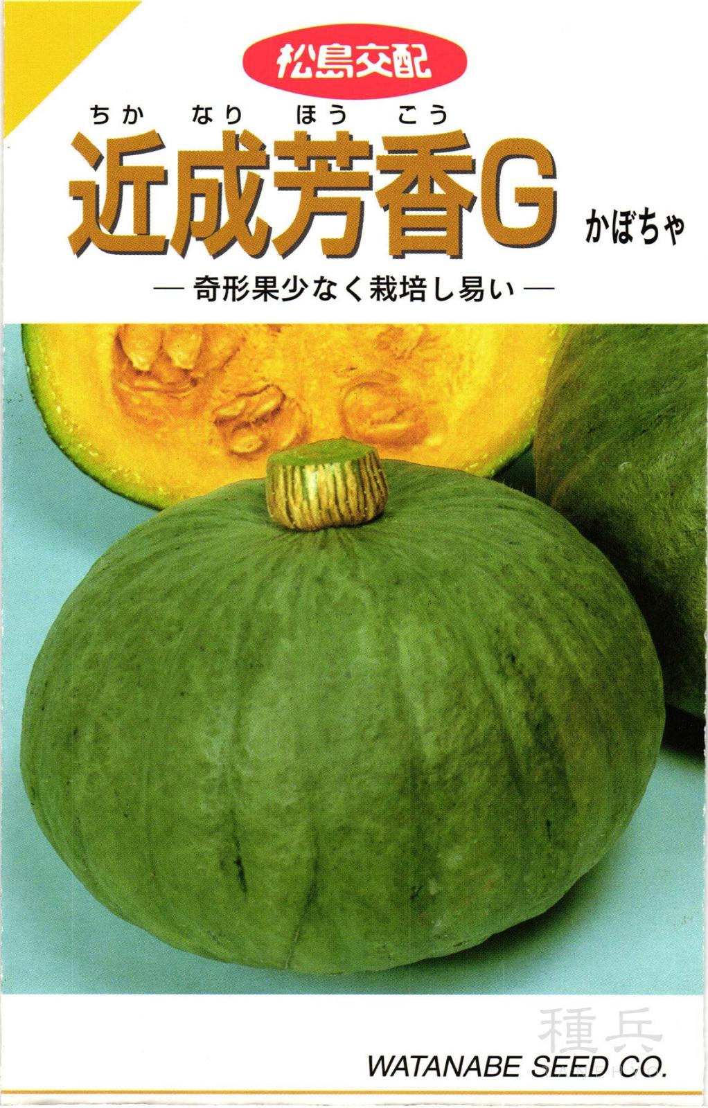 青皮カボチャ 種 『近成芳香G』  渡辺採種場