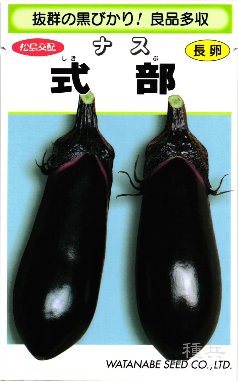 長卵型ナス 種 『式部』  渡辺採種場
