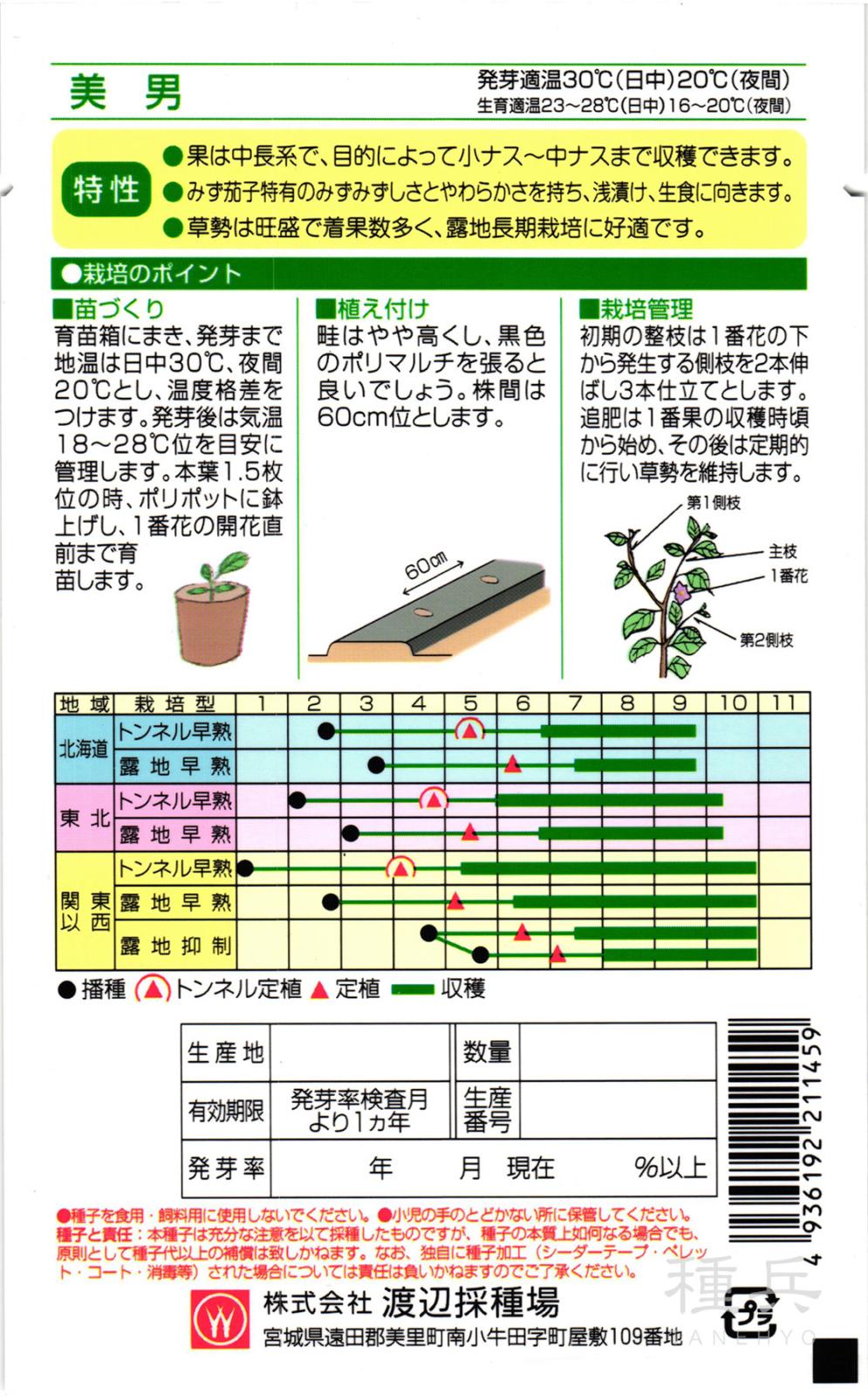 中長ナス 種 『美男』 渡辺採種場 | たね,果菜の種,ナス,中長・長ナス