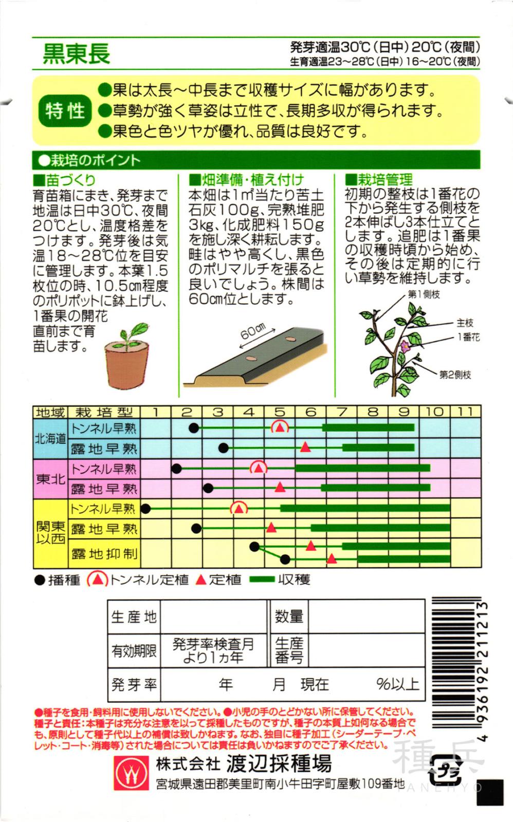 中長・太長ナス 種 『黒東長』 渡辺採種場 | たね,果菜の種,ナス,中長