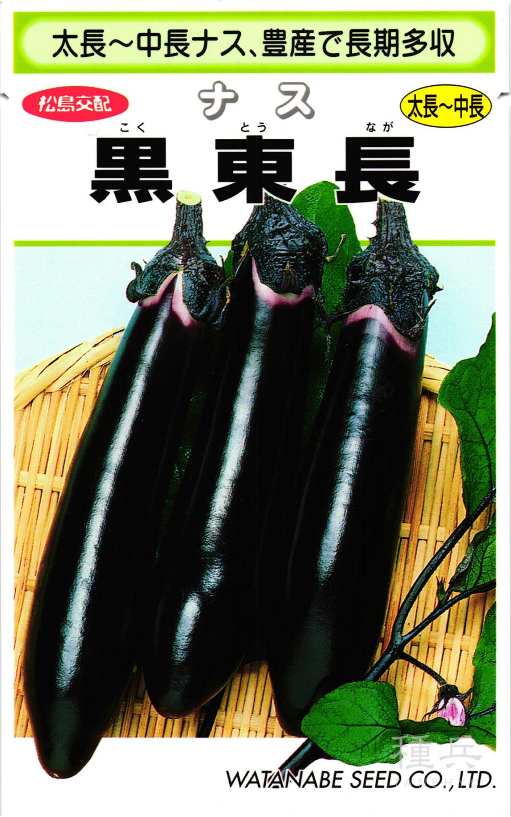 中長・太長ナス 種 『黒東長』  渡辺採種場