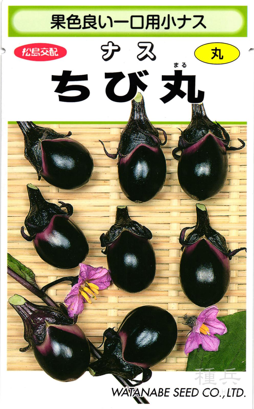 小ナス 種 『ちび丸』  渡辺採種場