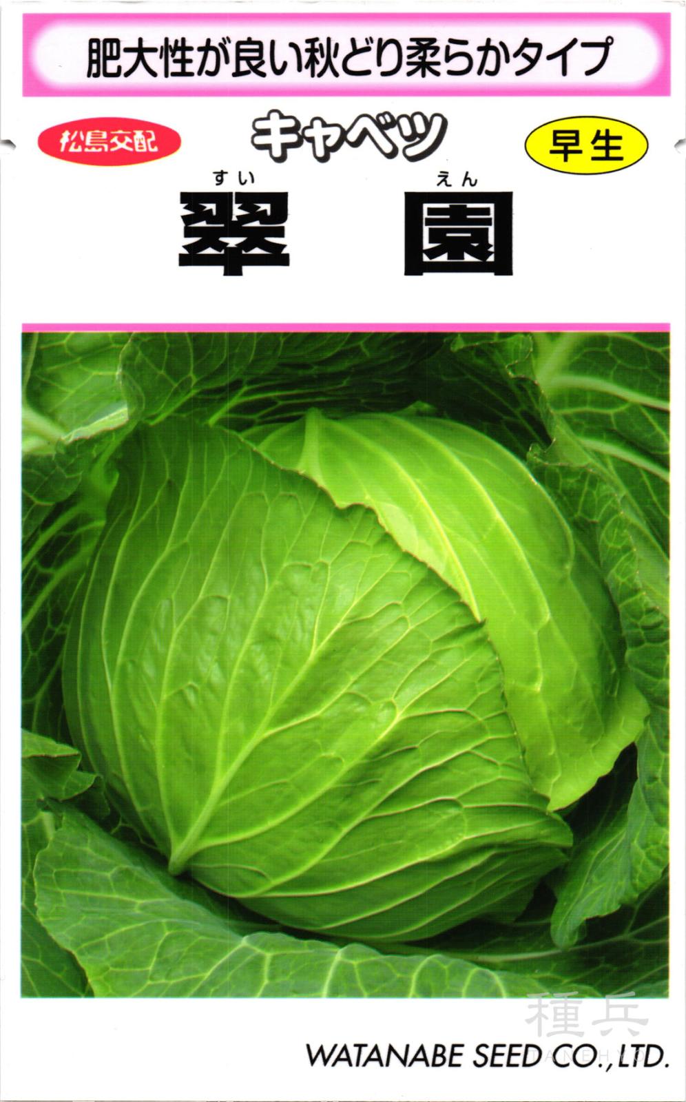 春系キャベツ 種 『翠園』  渡辺採種場