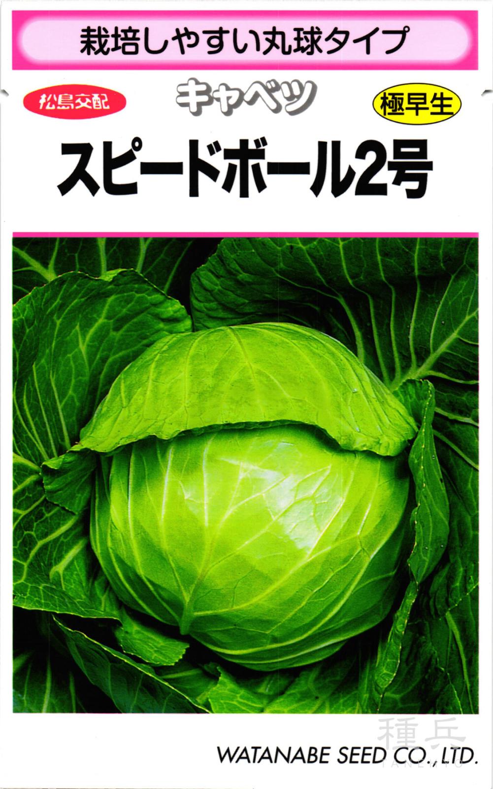 ボールキャベツ 種 『スピードボール２号』  渡辺採種場