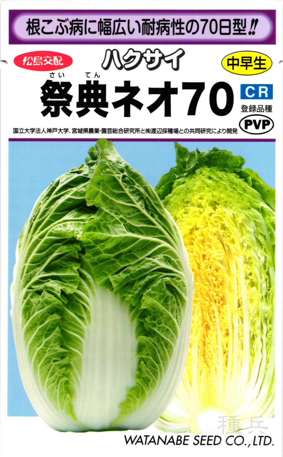黄芯系ハクサイ 種 『祭典ネオ70』  渡辺採種場