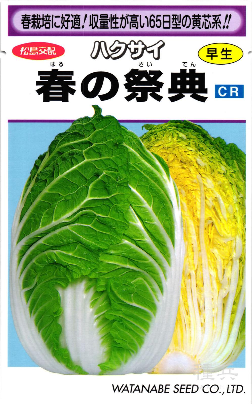 黄芯系ハクサイ 種 『春の祭典』  渡辺採種場