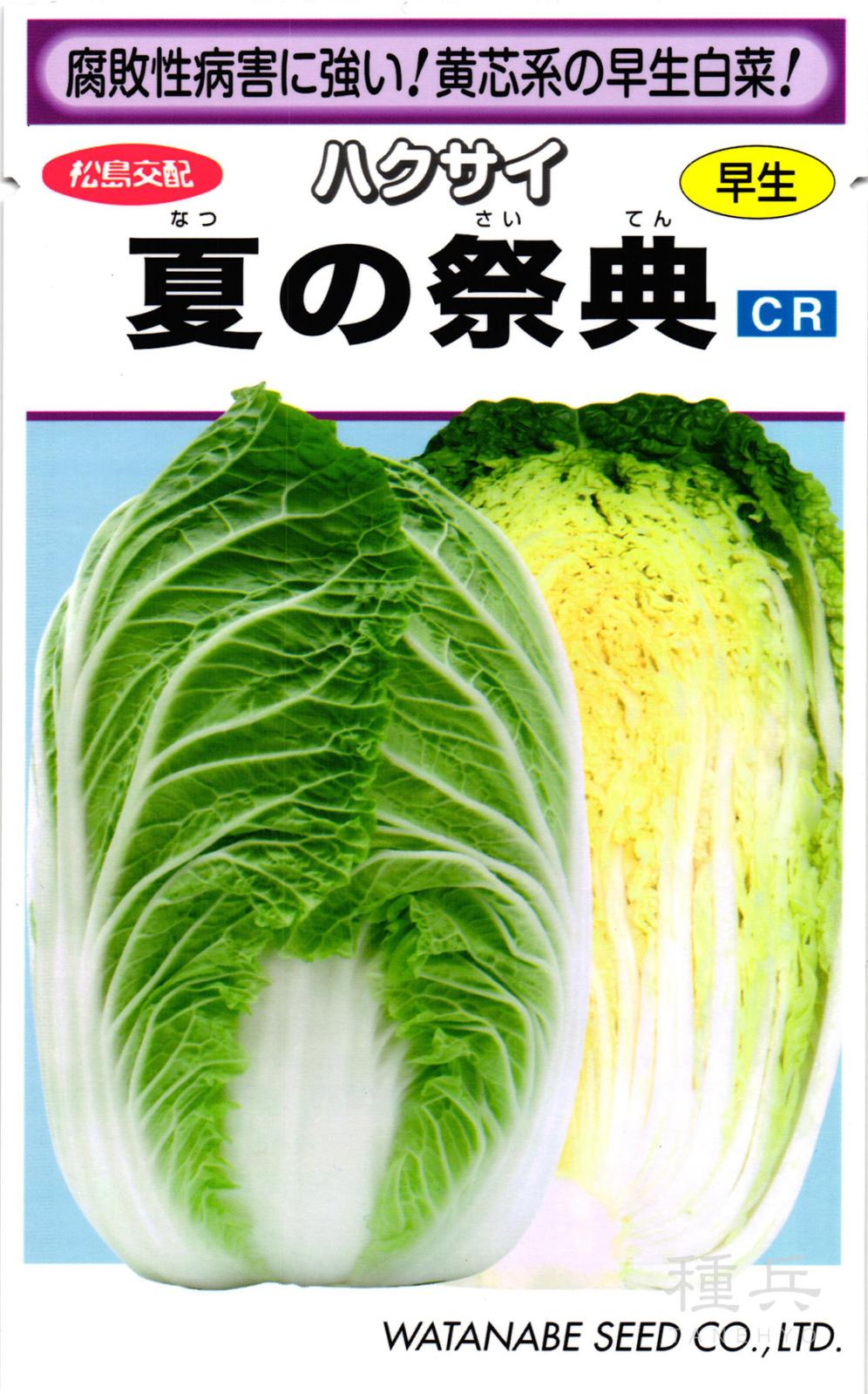 黄芯系ハクサイ 種 『夏の祭典』  渡辺採種場