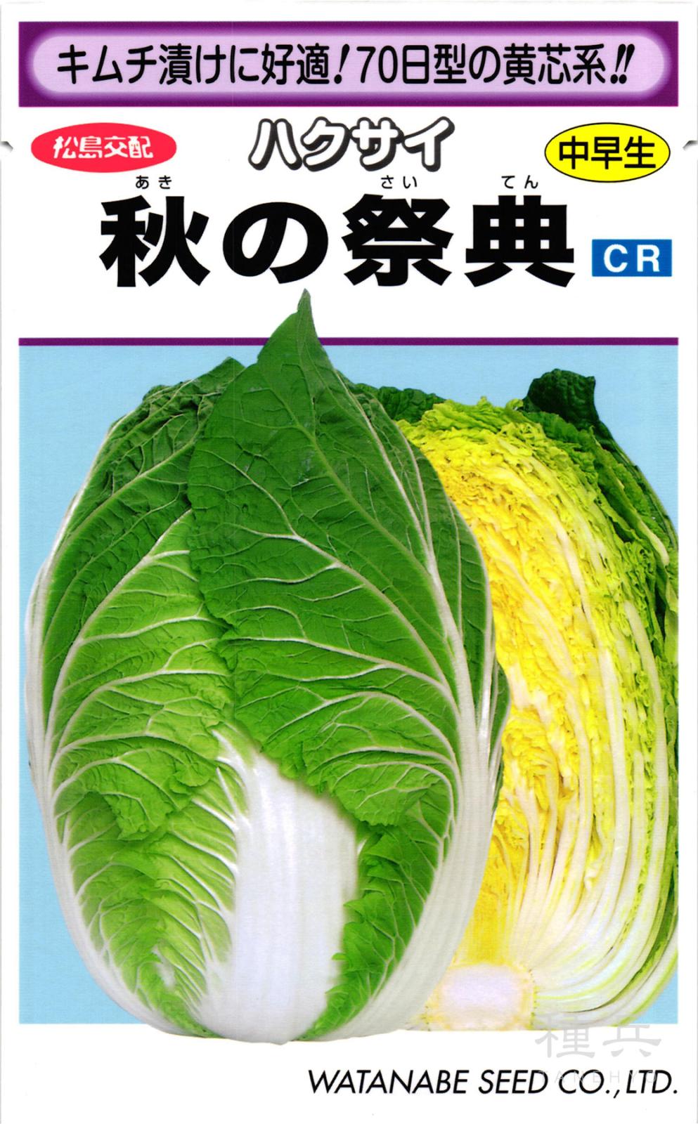 黄芯系ハクサイ 種 『秋の祭典』  渡辺採種場