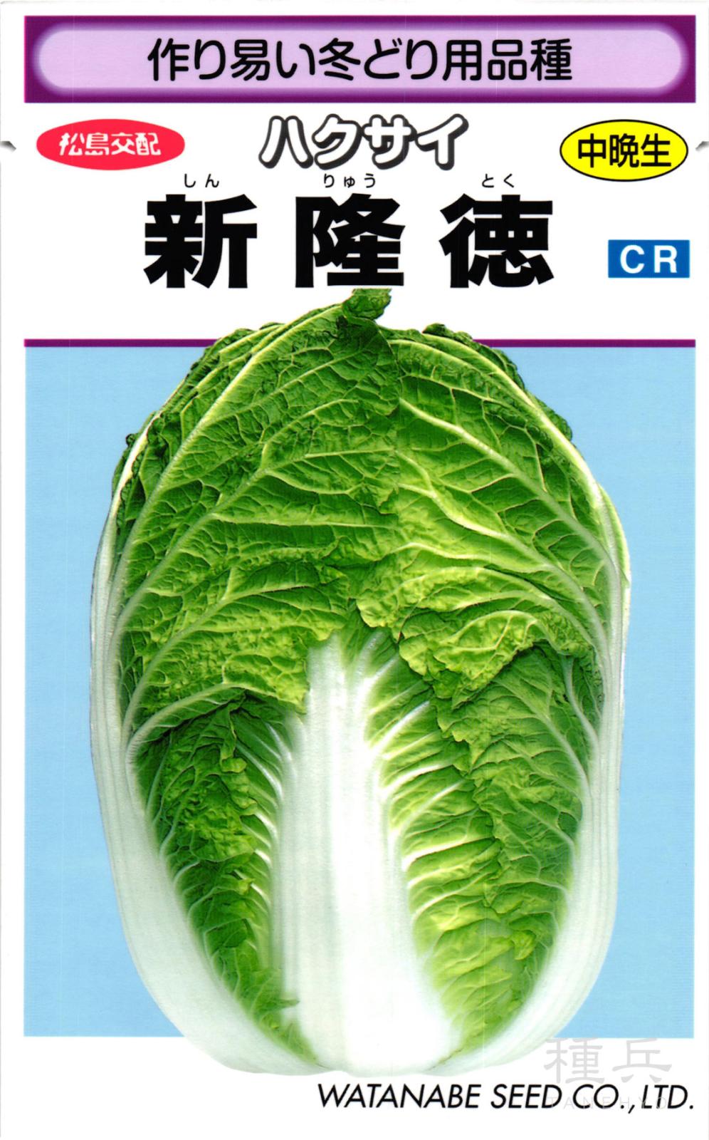 中晩生ハクサイ 種 『新隆徳』  渡辺採種場
