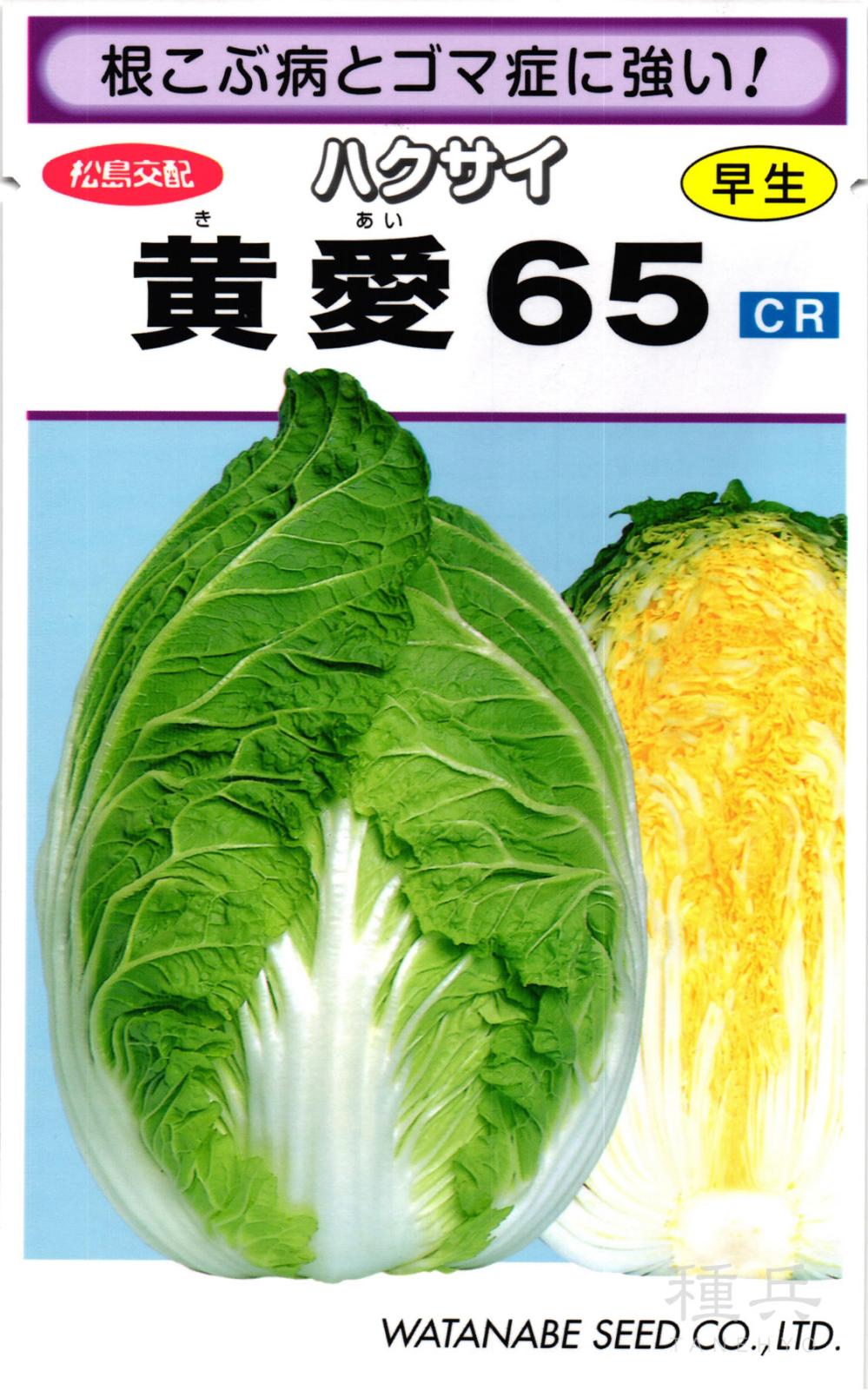 黄芯系ハクサイ 種 『黄愛６５』  渡辺採種場