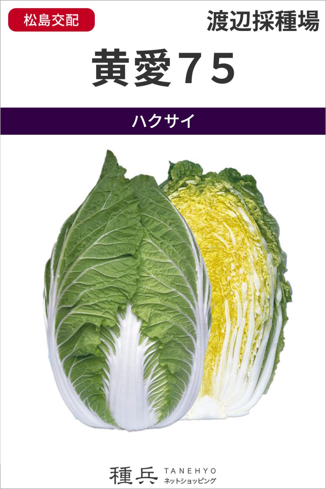 黄芯系ハクサイ 種 『黄愛７５』  渡辺採種場