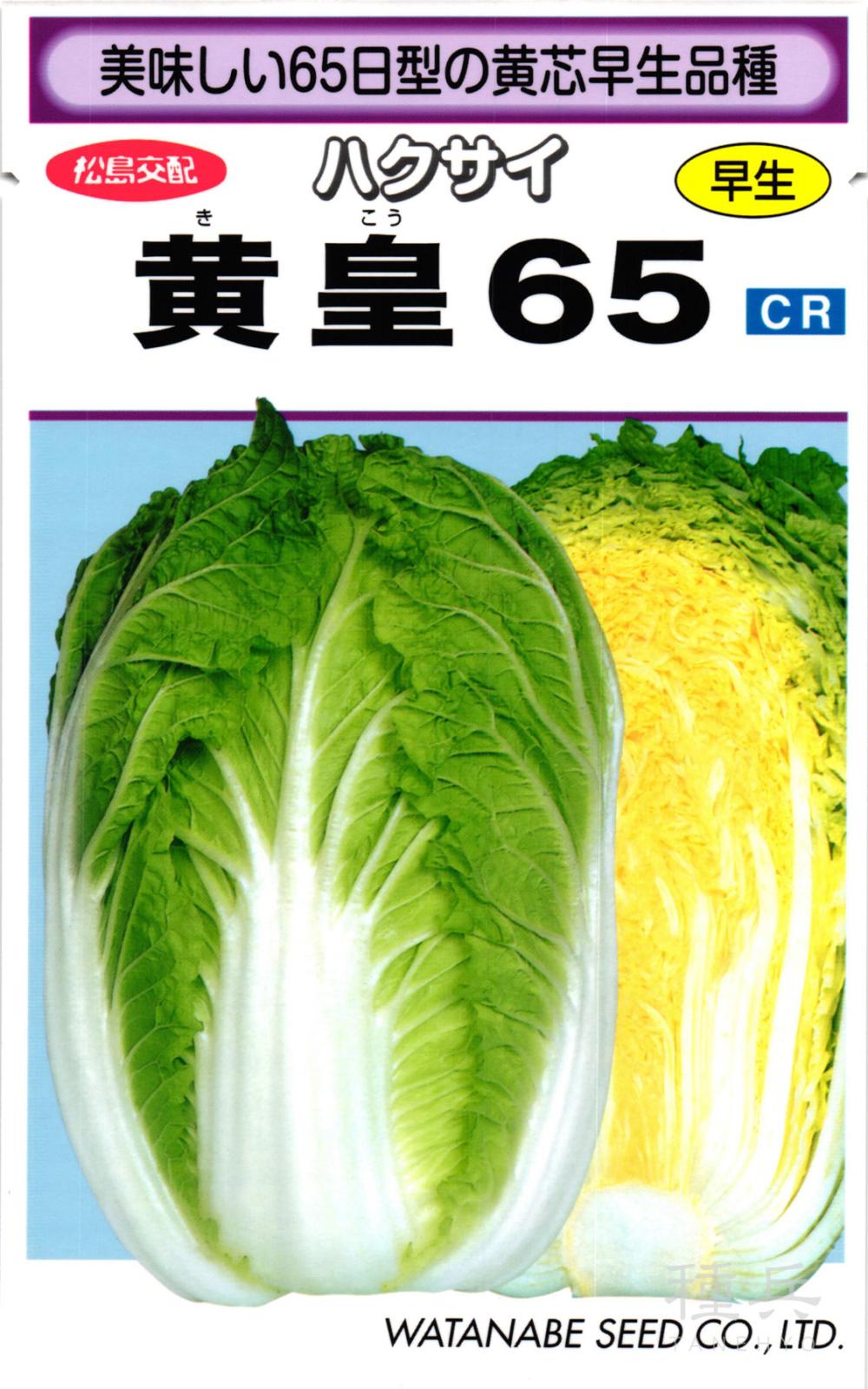 黄芯系ハクサイ 種 『黄皇６５』  渡辺採種場