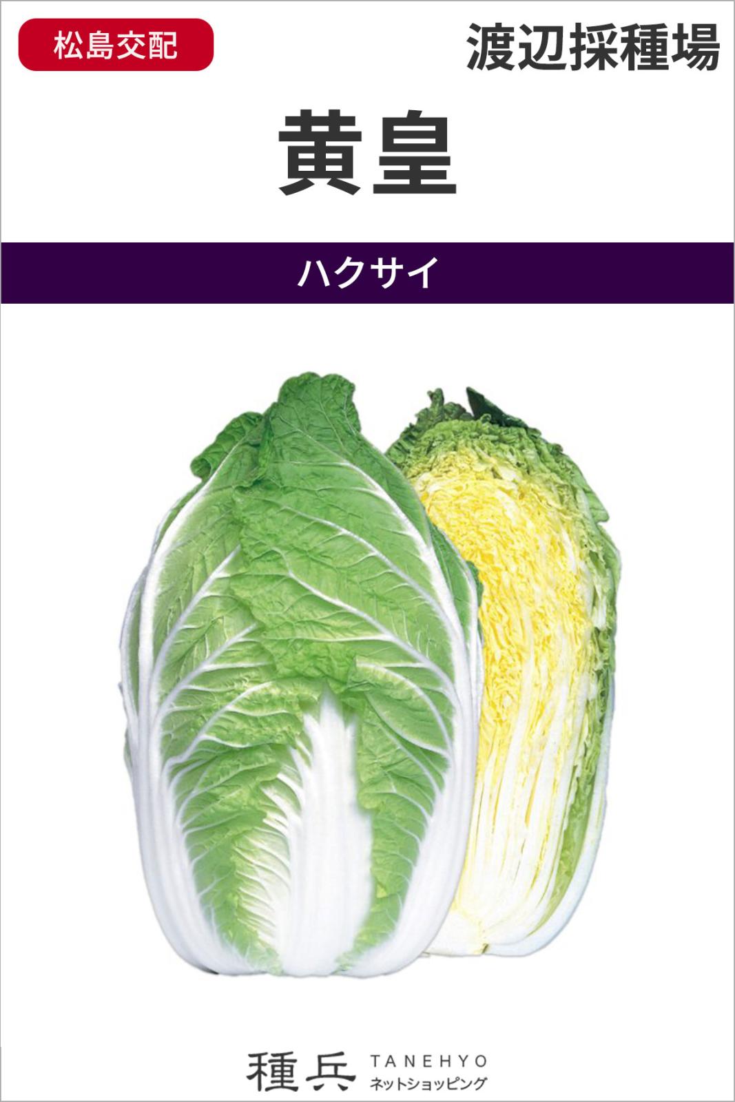 黄芯系ハクサイ 種 『黄皇』  渡辺採種場