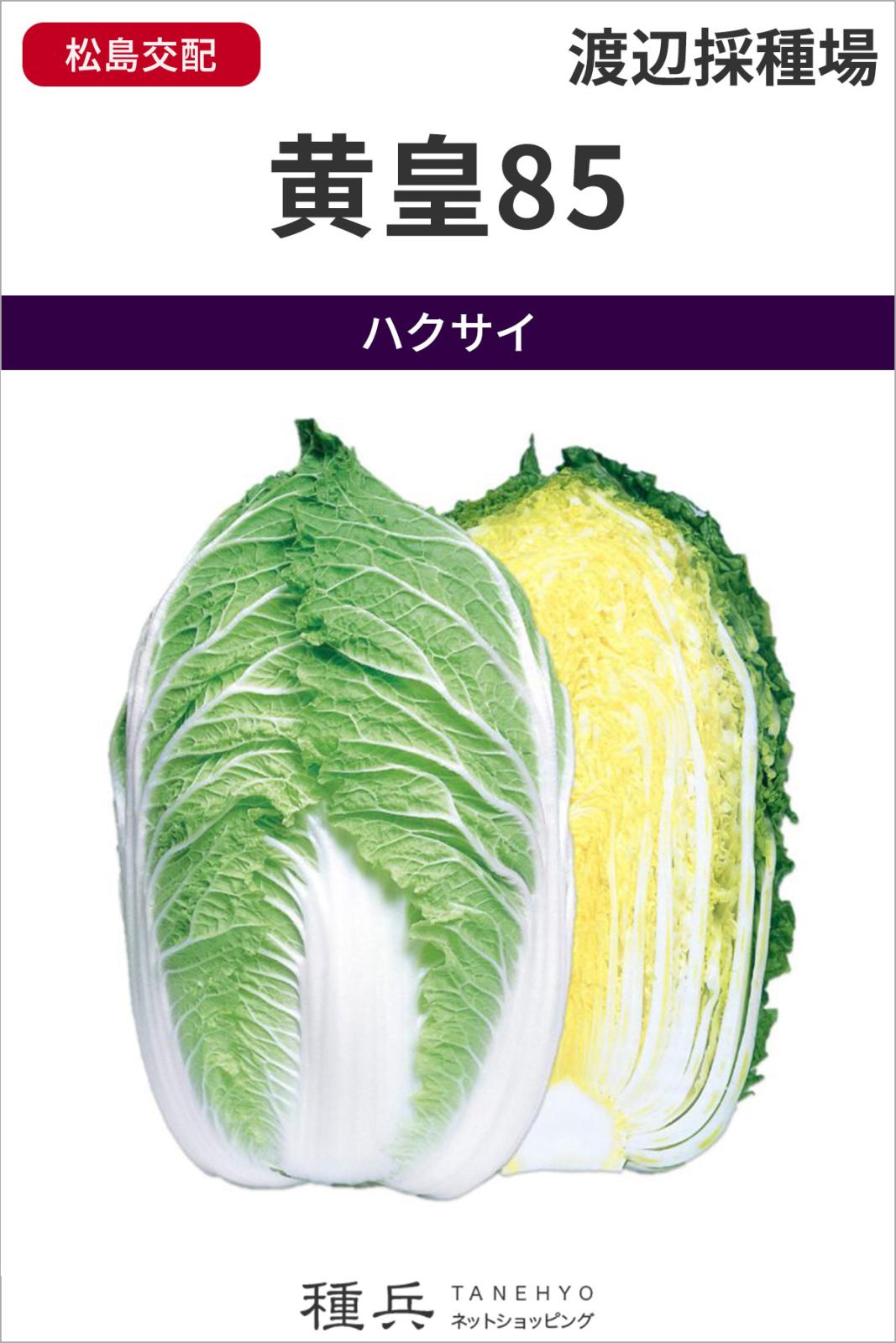 黄芯系ハクサイ 種 『黄皇８５』  渡辺採種場