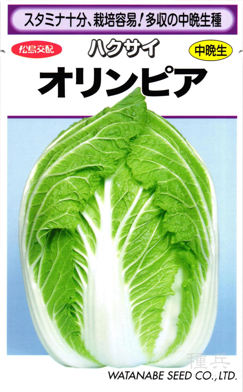 中晩生ハクサイ 種 『オリンピア』  渡辺採種場