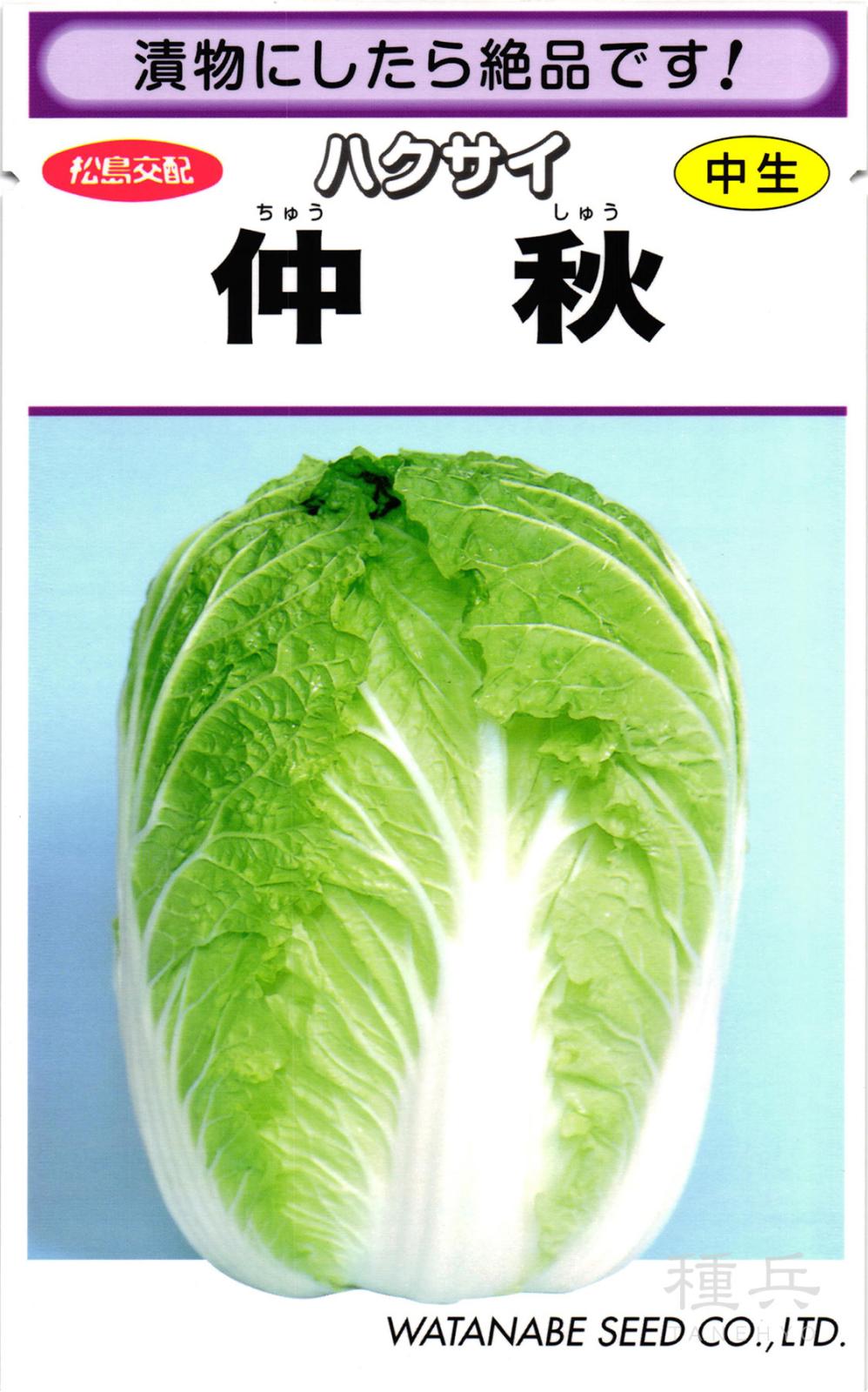 中生ハクサイ 種 『仲秋』  渡辺採種場