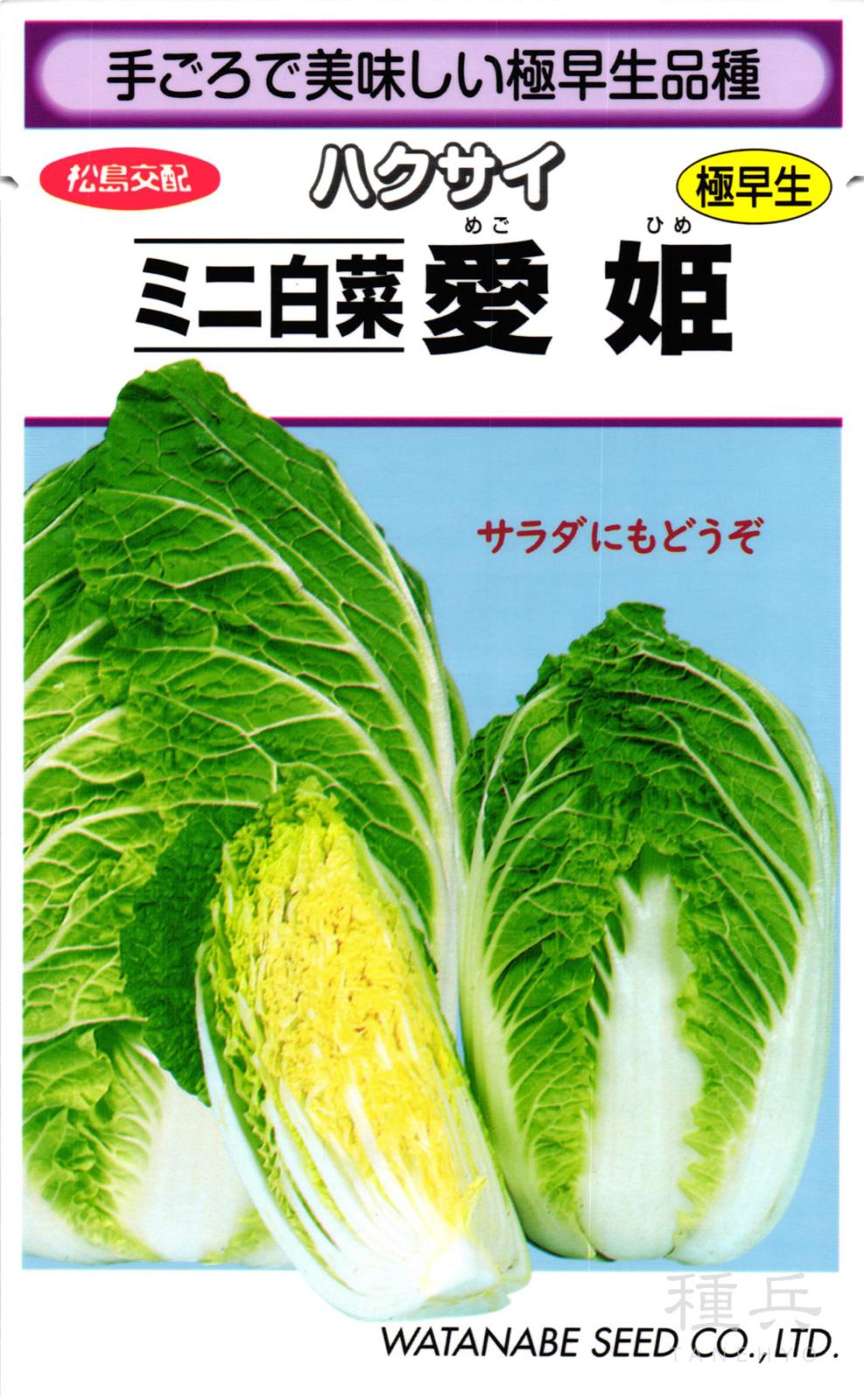たね,葉菜の種,ハクサイ,ミニ白菜 | 種兵ネットショッピング