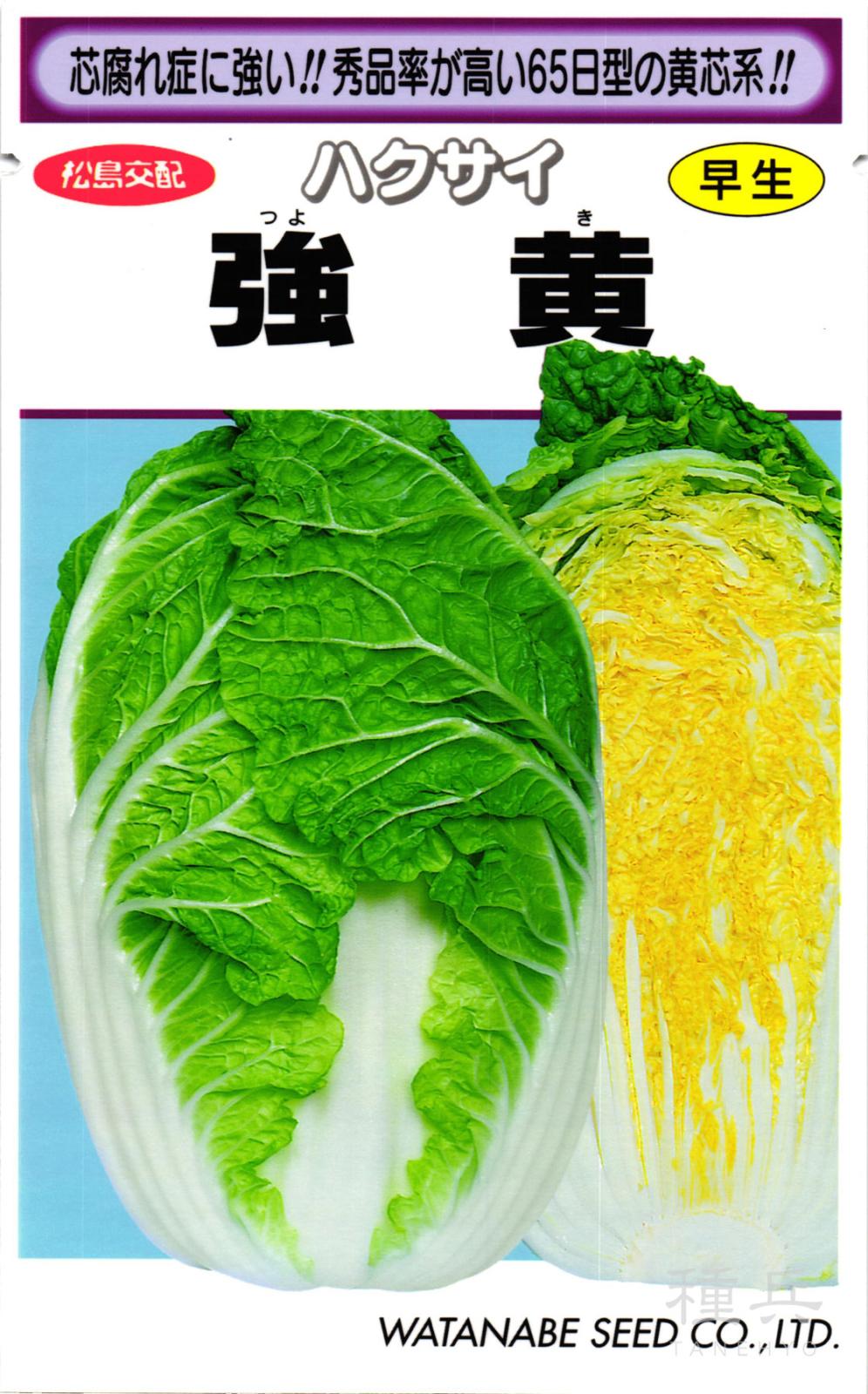 黄芯系ハクサイ 種 『強黄』  渡辺採種場