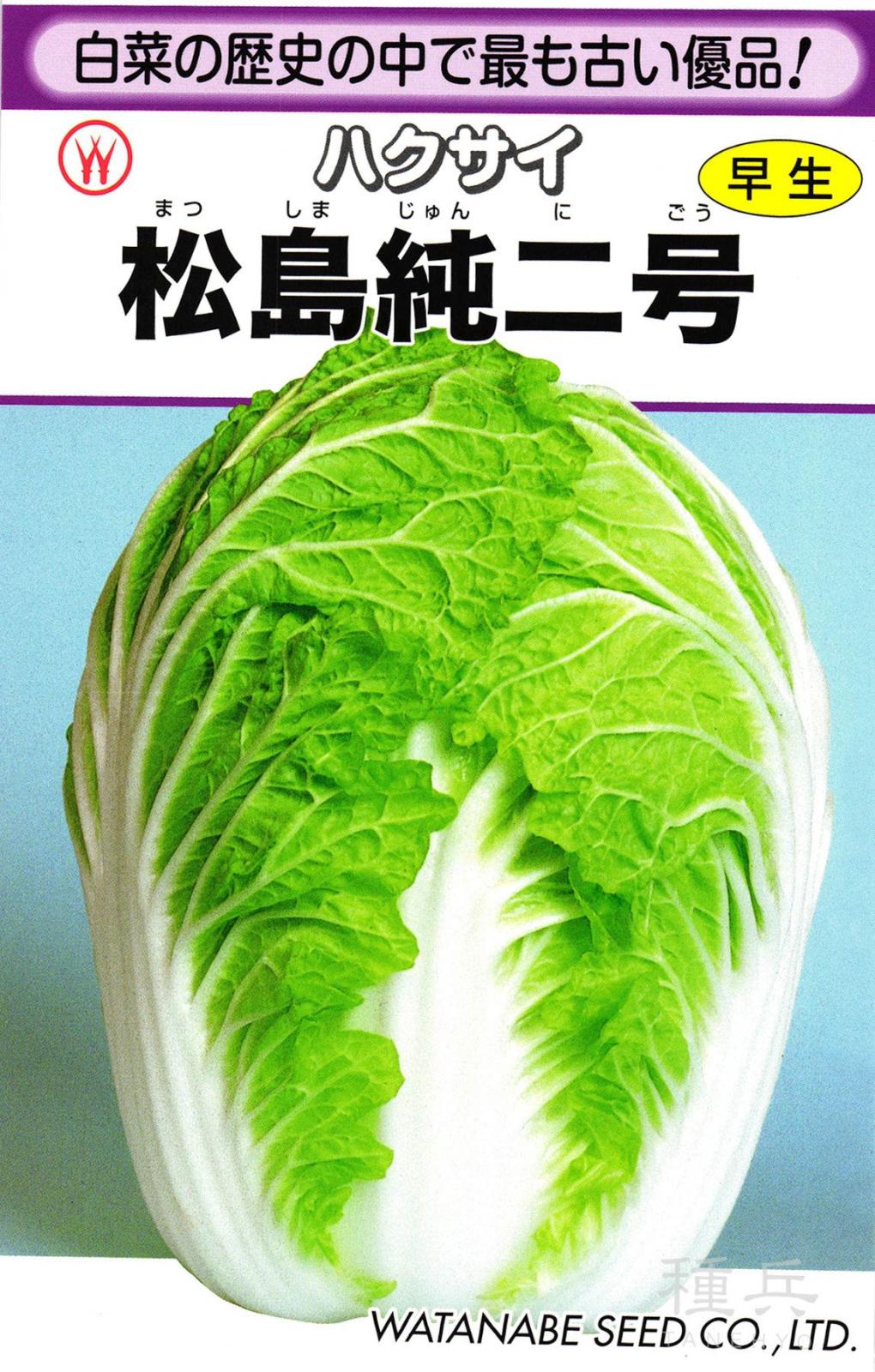 早生ハクサイ 種 『松島純二号』  渡辺採種場
