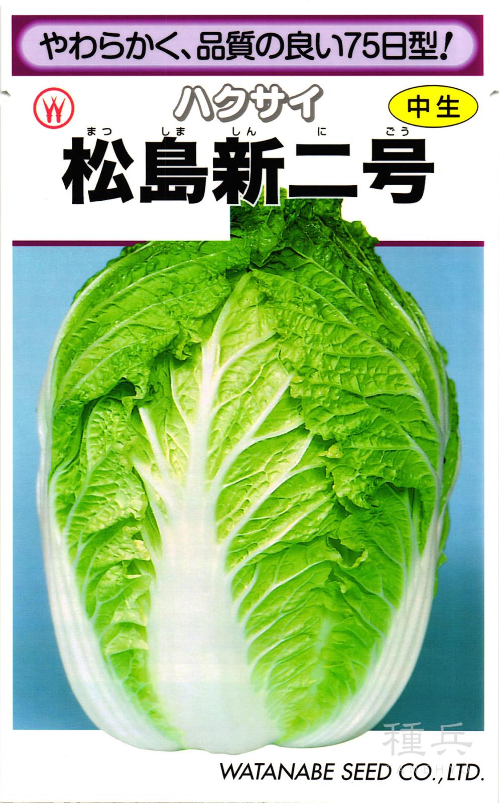 中生ハクサイ 種 『松島新二号』  渡辺採種場