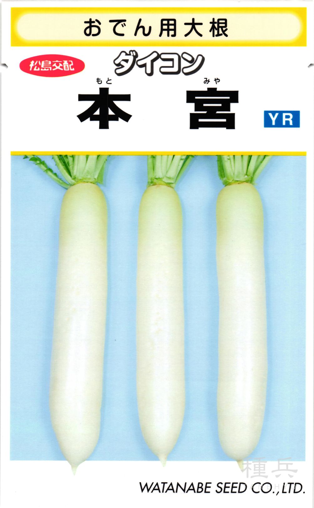 ダイコン 種 『本宮』  渡辺採種場