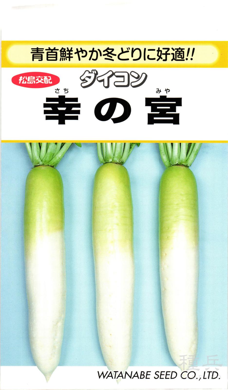 ダイコン 種 『幸の宮』  渡辺採種場