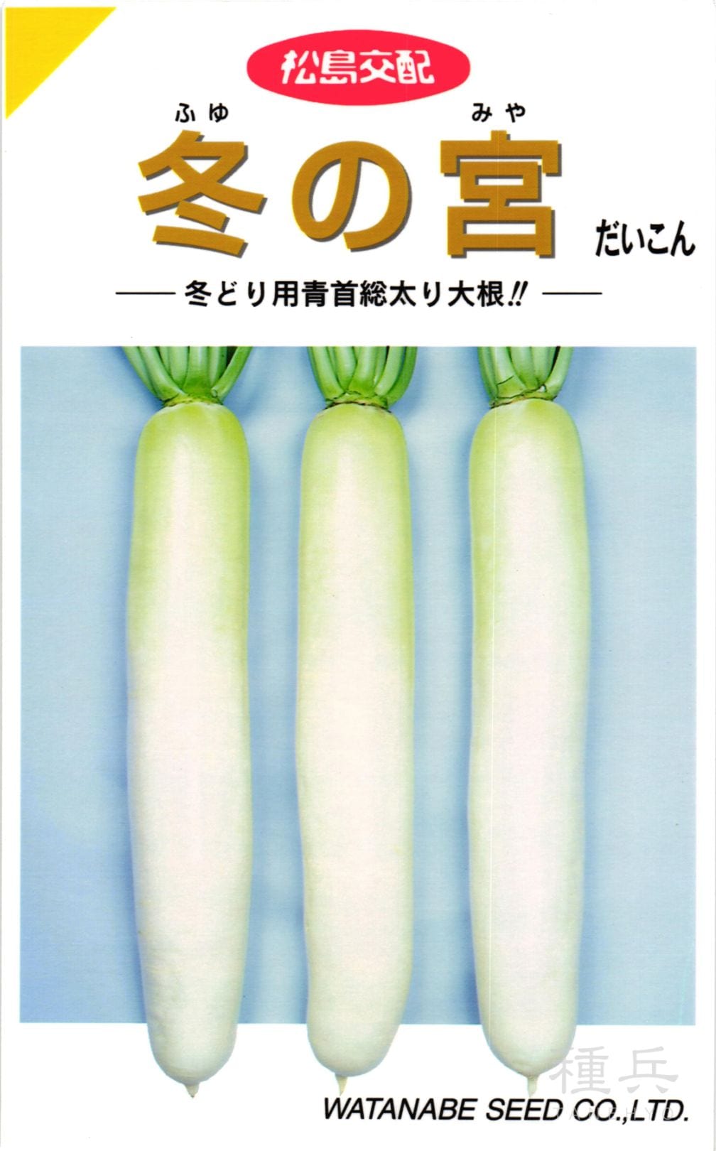 ダイコン 種 『冬の宮』  渡辺採種場