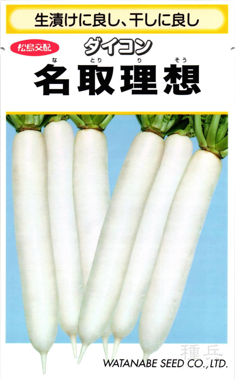 ダイコン 種 『名取理想』  渡辺採種場