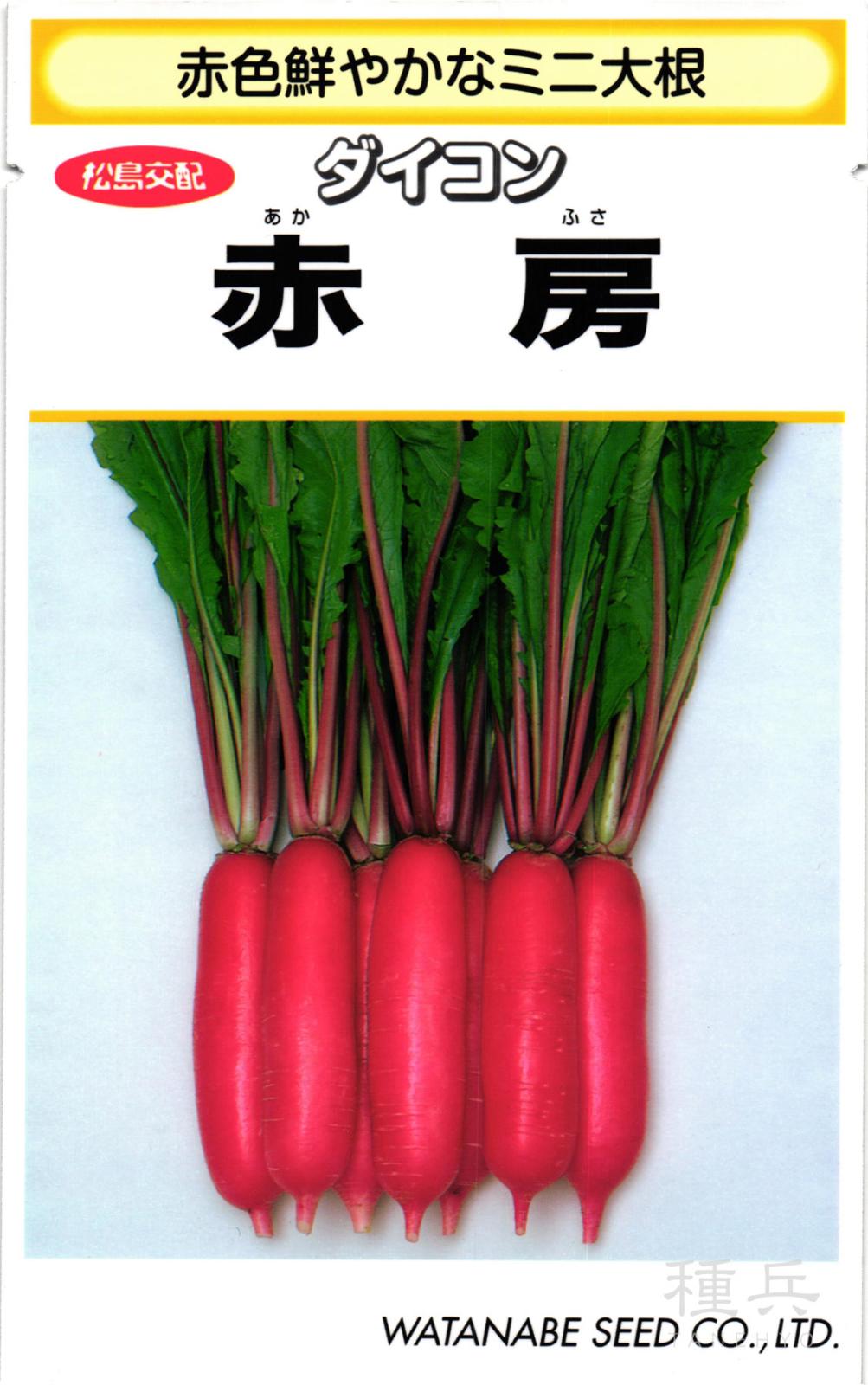 赤色ミニ大根 種 『赤房』  渡辺採種場