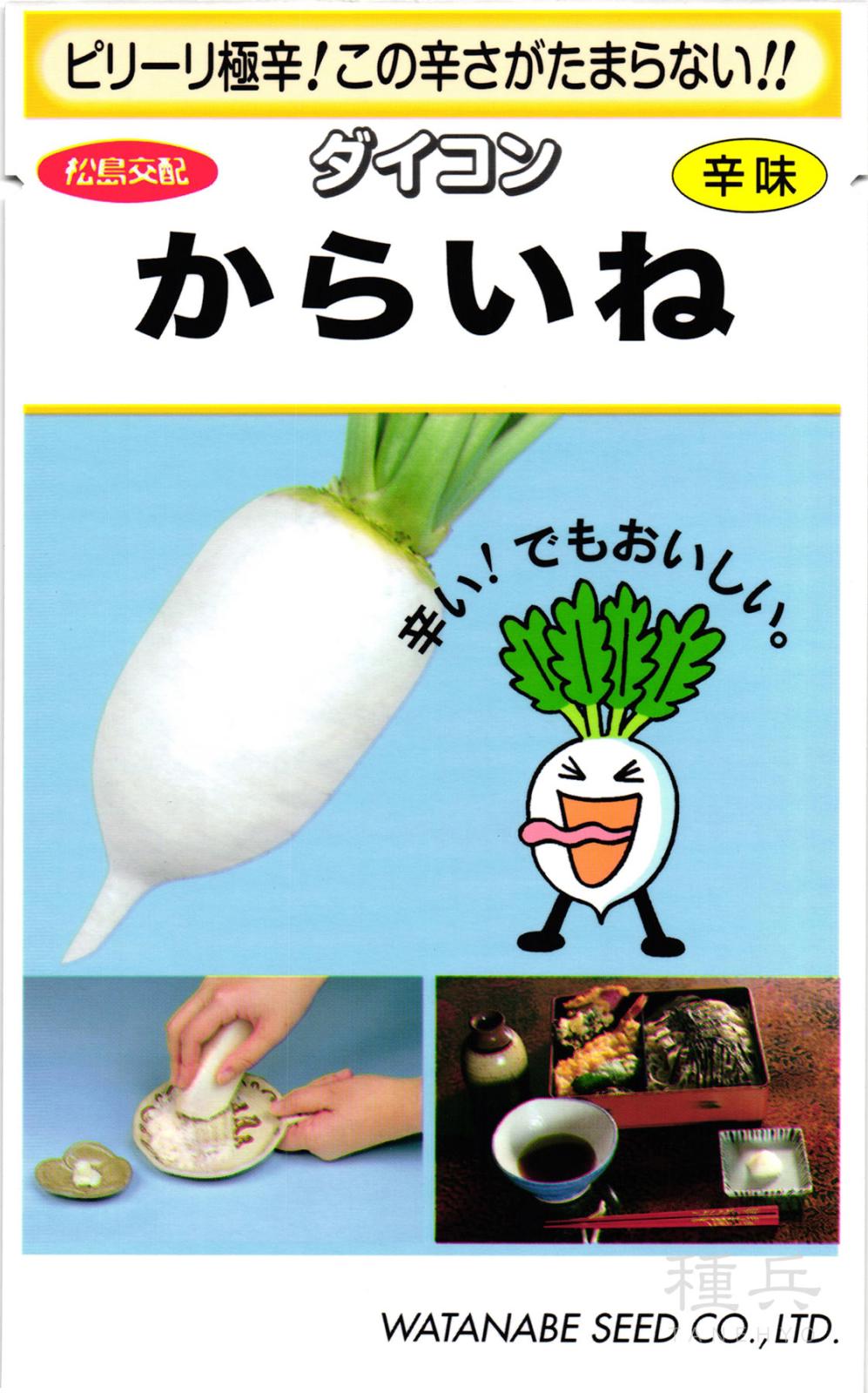 辛味ダイコン 種 『辛味大根からいね』  渡辺採種場