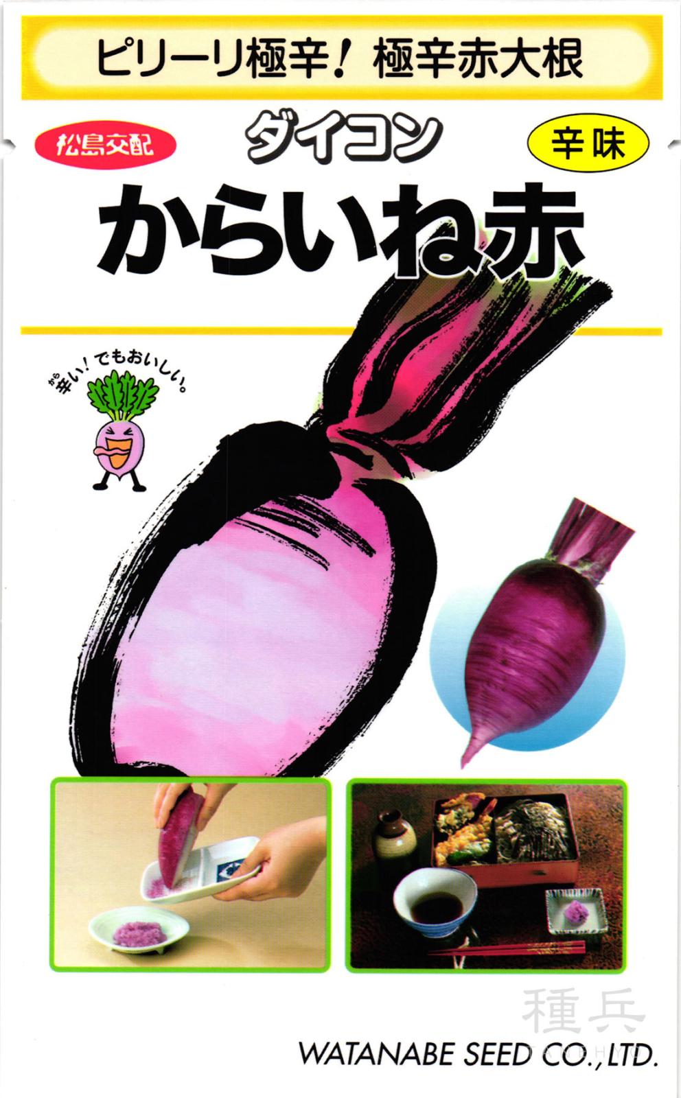 赤辛味ダイコン 種 『辛味大根からいね赤』  渡辺採種場