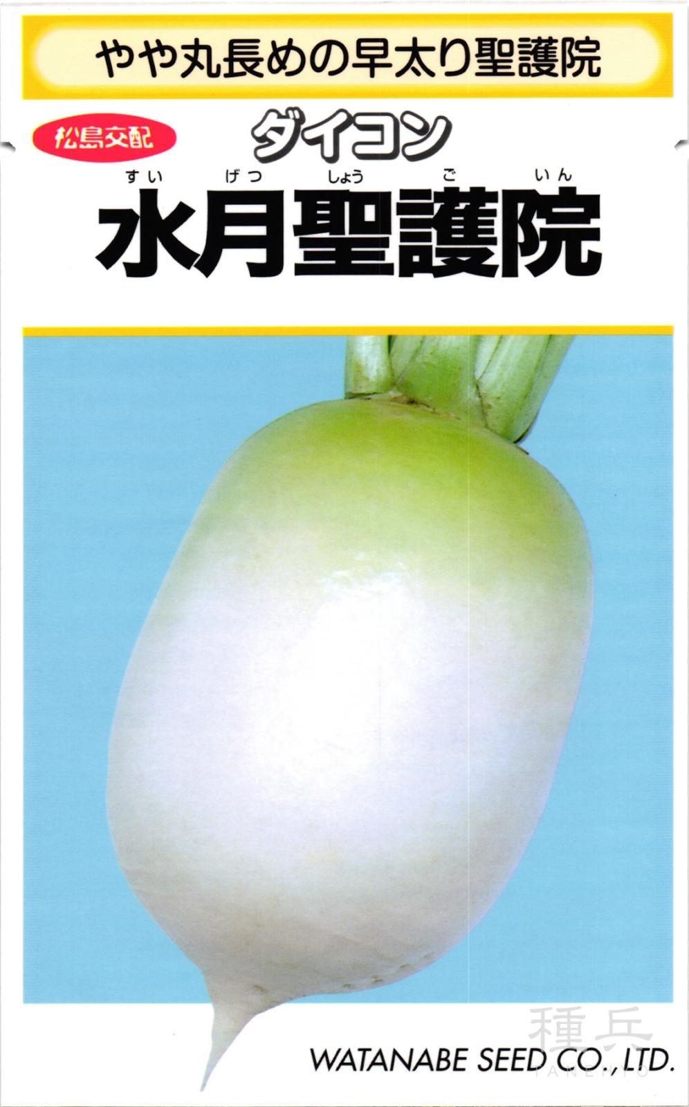 聖護院ダイコン 種 『水月聖護院』  渡辺採種場