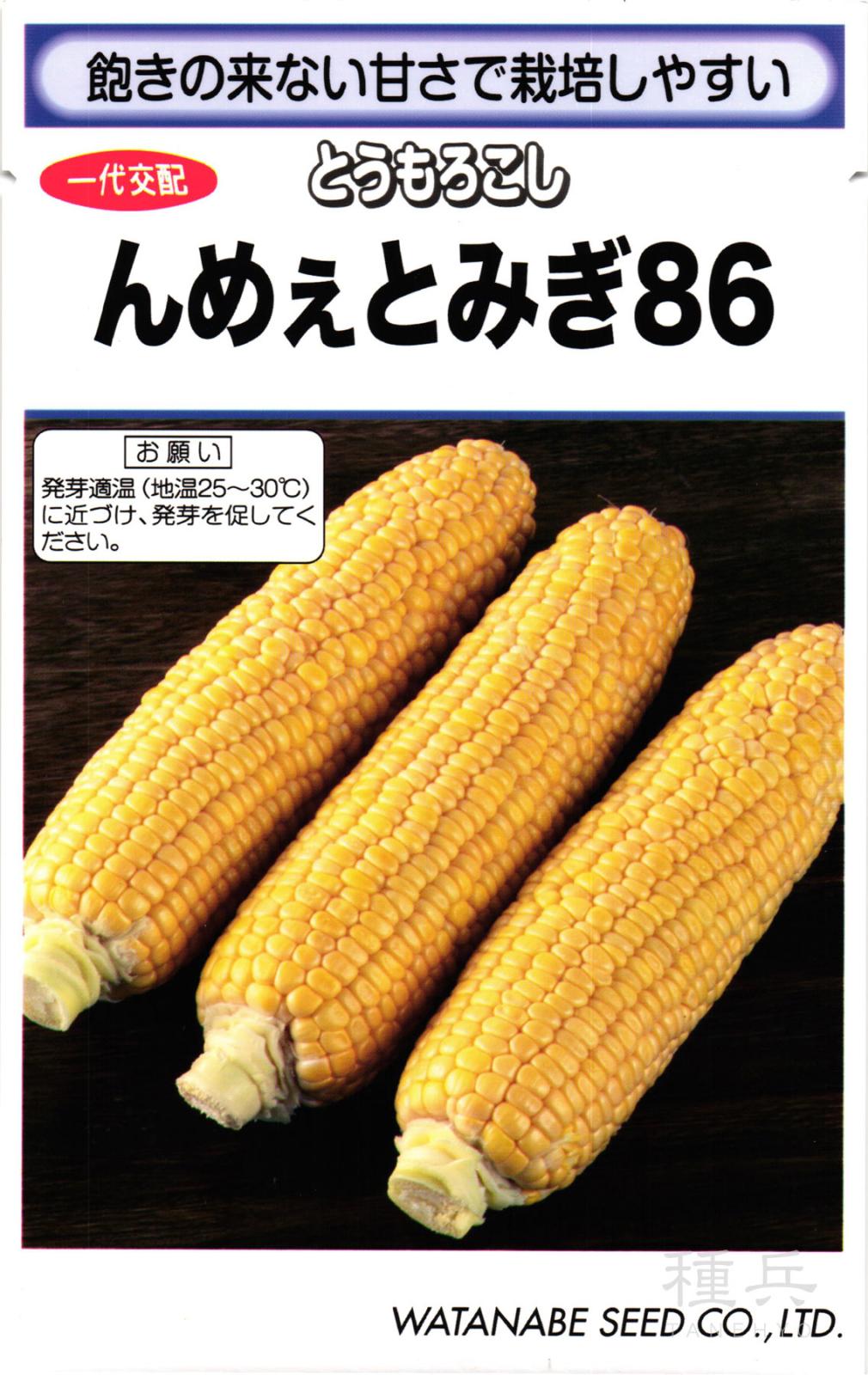 スイートコーン 種 『んめぇとみぎ８６』  渡辺採種場
