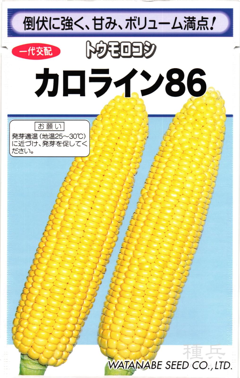 スイートコーン 種 『カロライン８６』  渡辺採種場