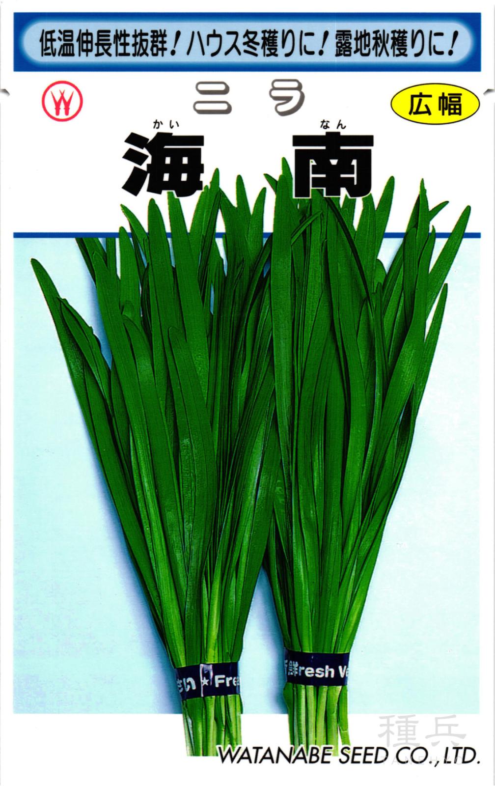 ニラ 種 『海南』  渡辺採種場