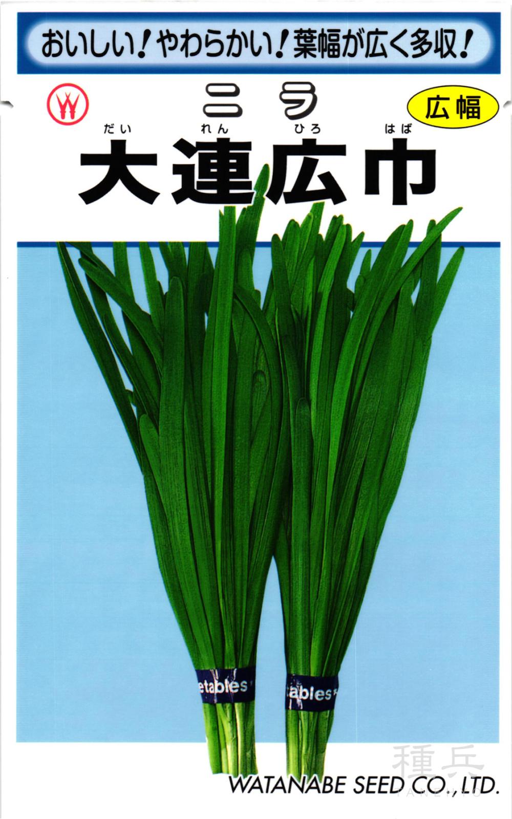 ニラ 種 『大連広巾』  渡辺採種場