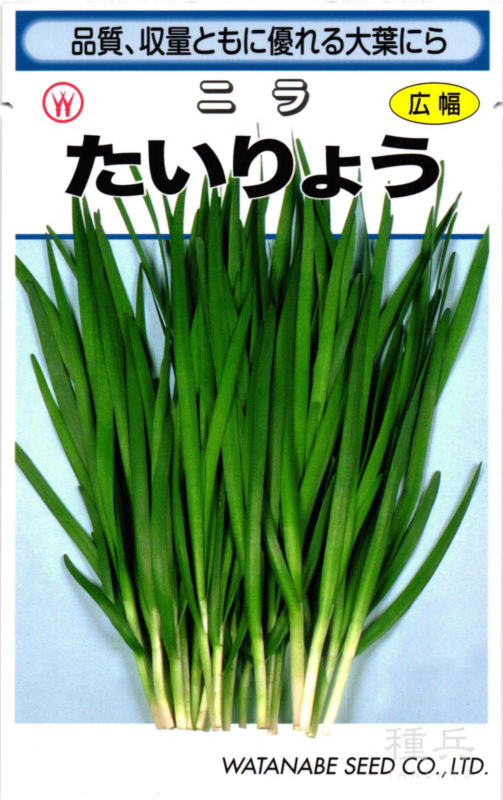 ニラ 種 『たいりょう』  渡辺採種場