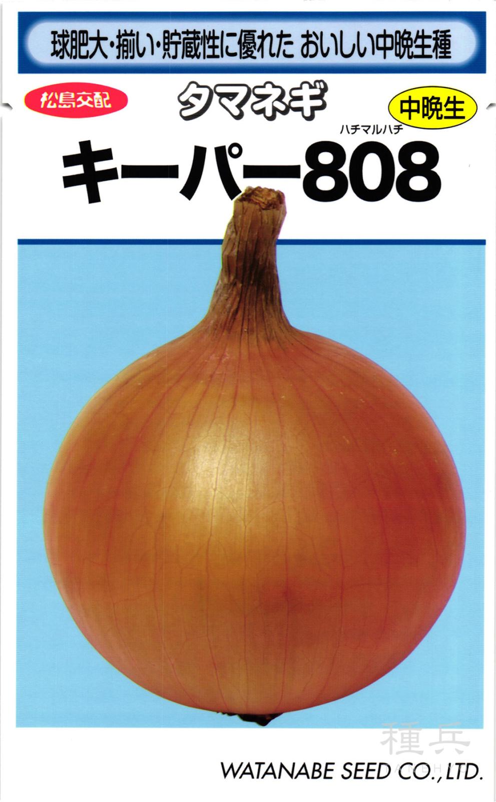 中晩生タマネギ 種 『キーパー８０８』  渡辺採種場