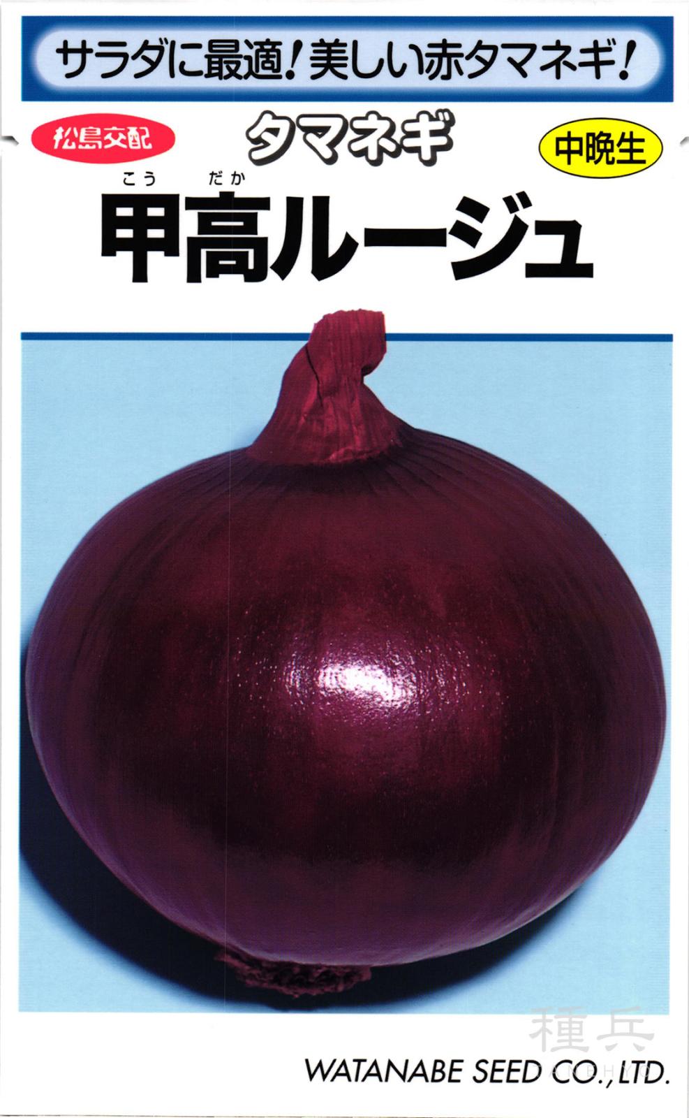 赤タマネギ 種 『甲高ルージュ』  渡辺採種場