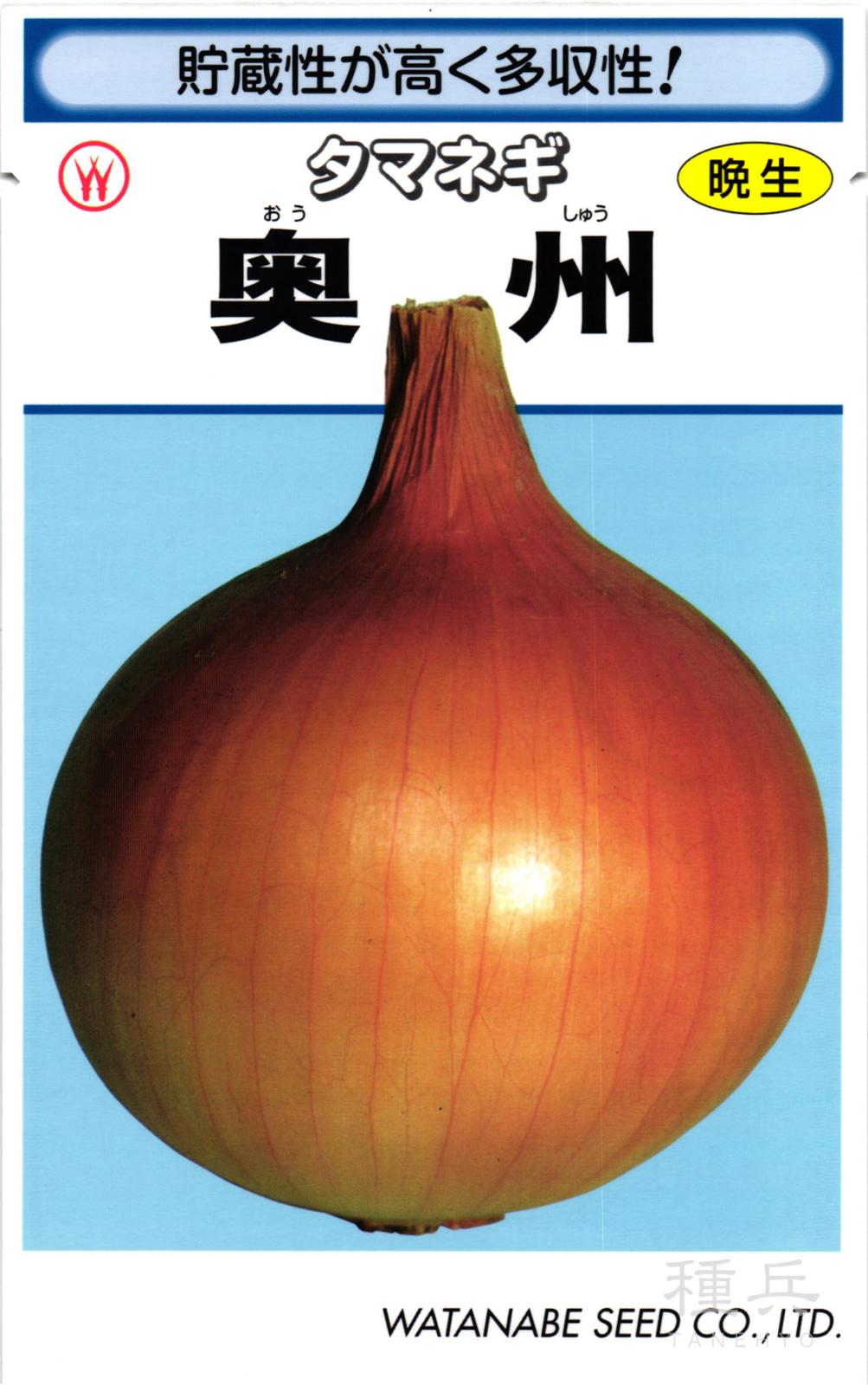 晩生タマネギ 種 『奥州』  渡辺採種場