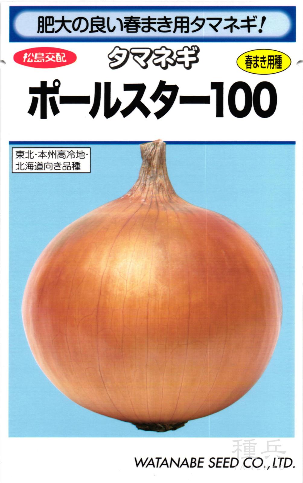 中生タマネギ 種 『ポールスター100』  渡辺採種場