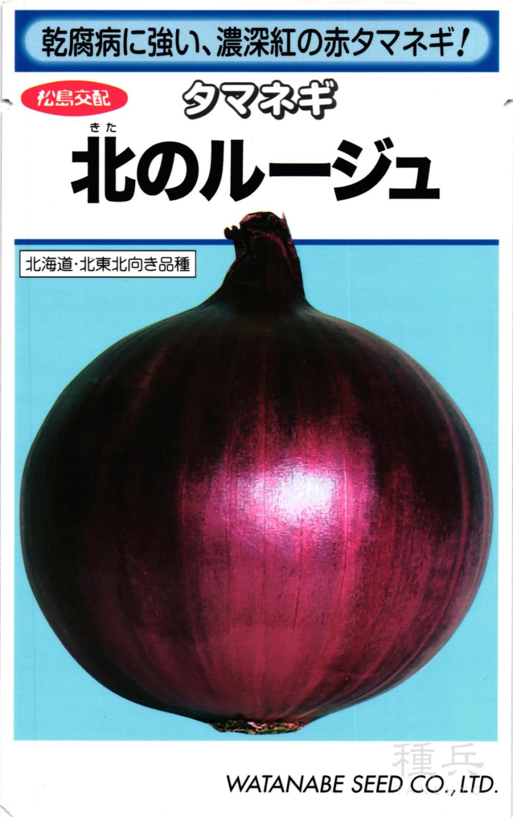 赤タマネギ 種 『北のルージュ』  渡辺採種場