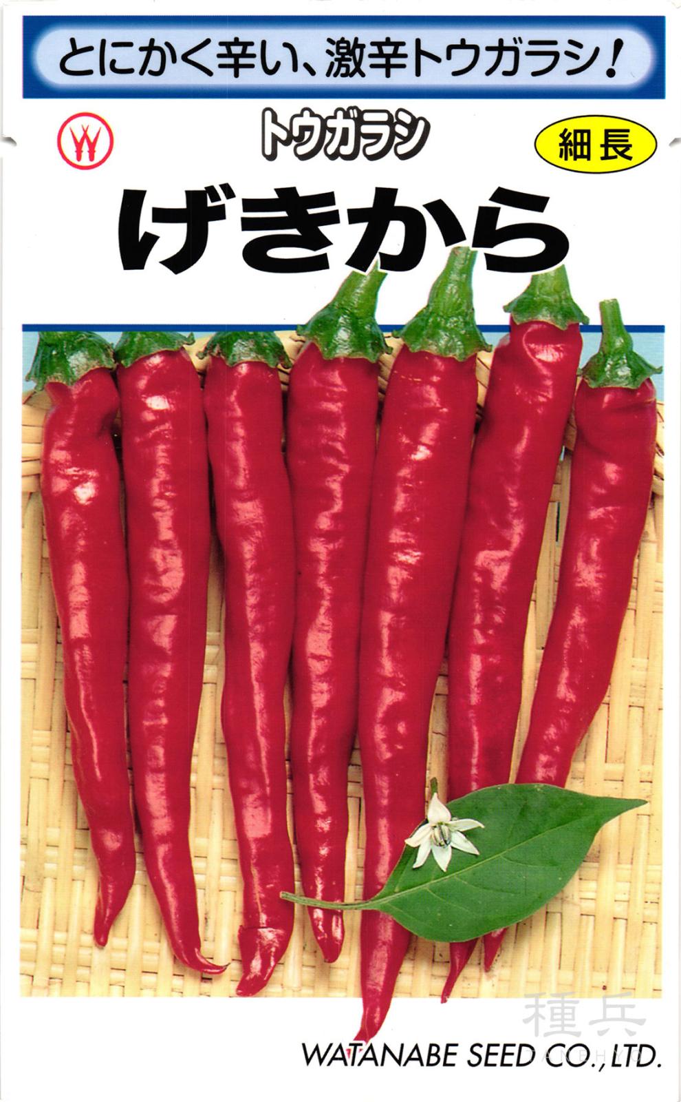 トウガラシ 種 『げきから』  渡辺採種場