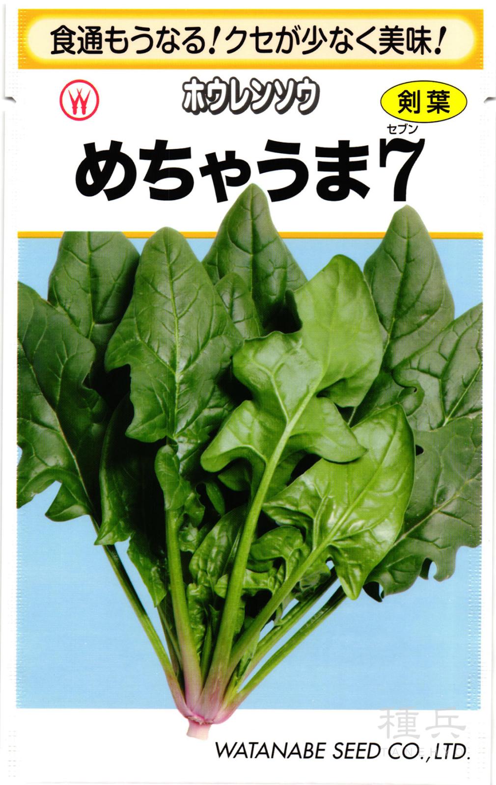 サラダホウレンソウ 種 『めちゃうま７』  渡辺採種場