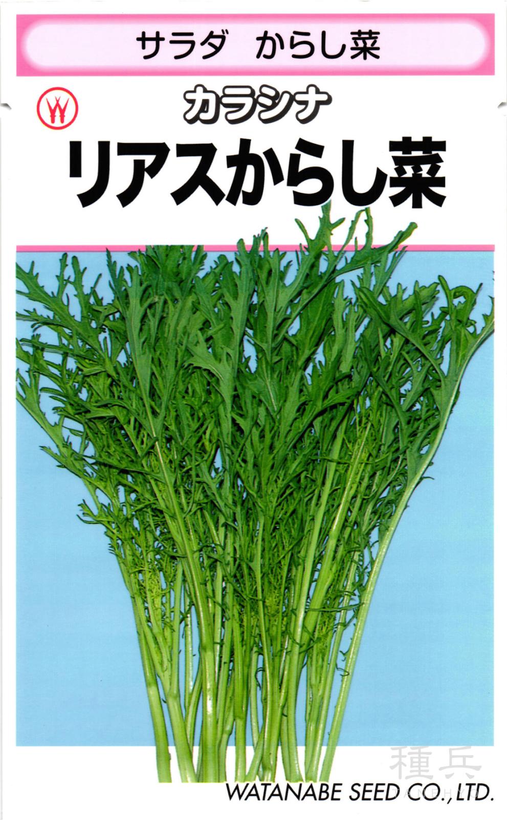 ツケナ 種 『リアスからし菜』  渡辺採種場