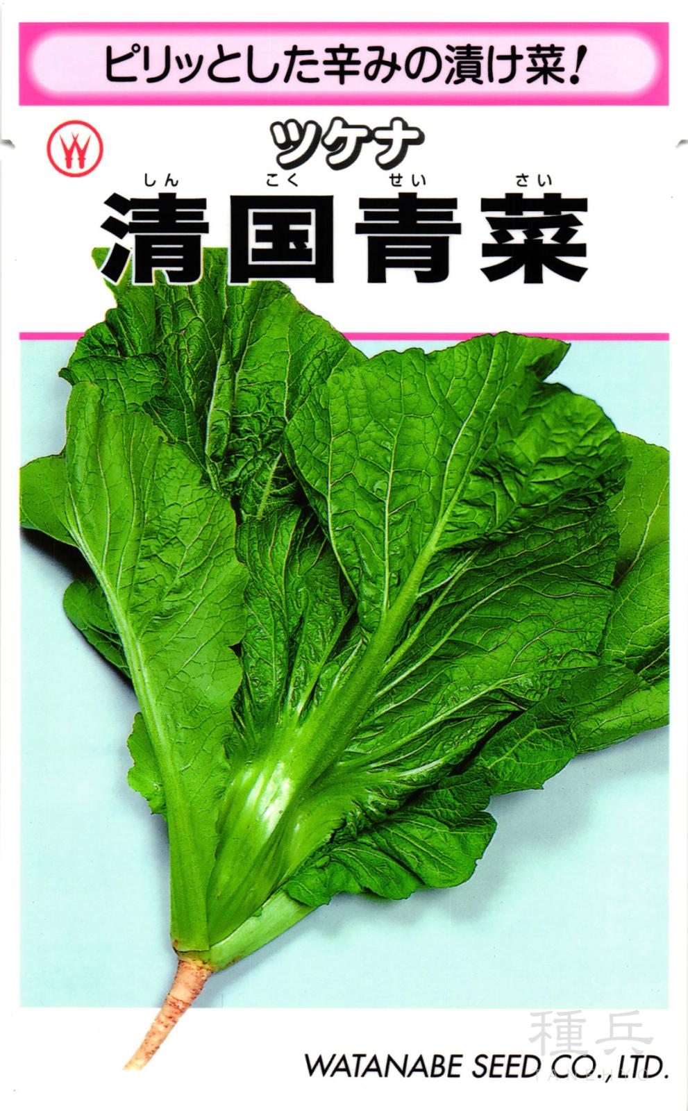 ツケナ 種 『清国青菜（山形青菜）』  渡辺採種場