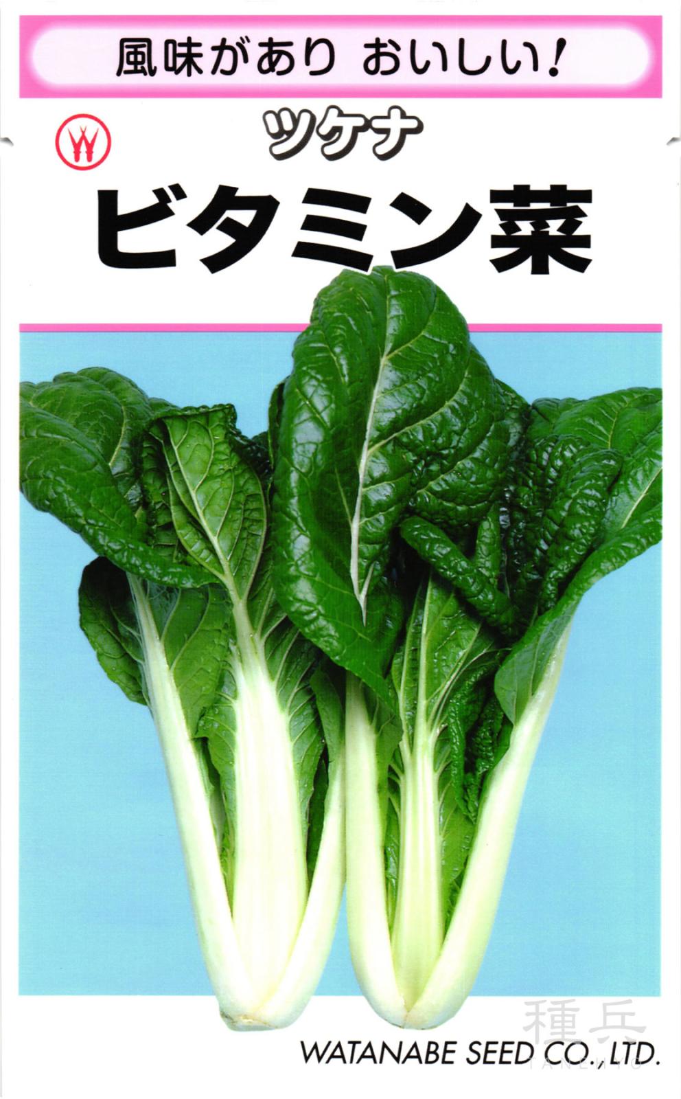 ツケナ 種 『ビタミン菜』  渡辺採種場