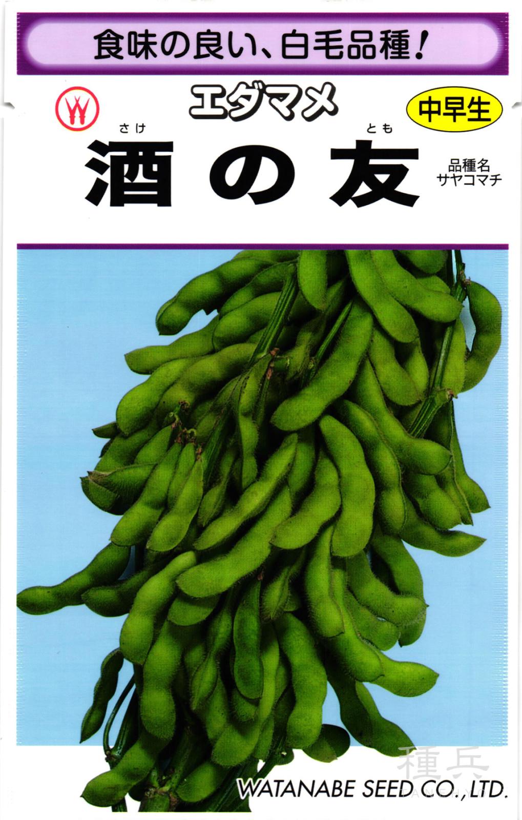 中早生エダマメ 種 『酒の友』  渡辺採種場